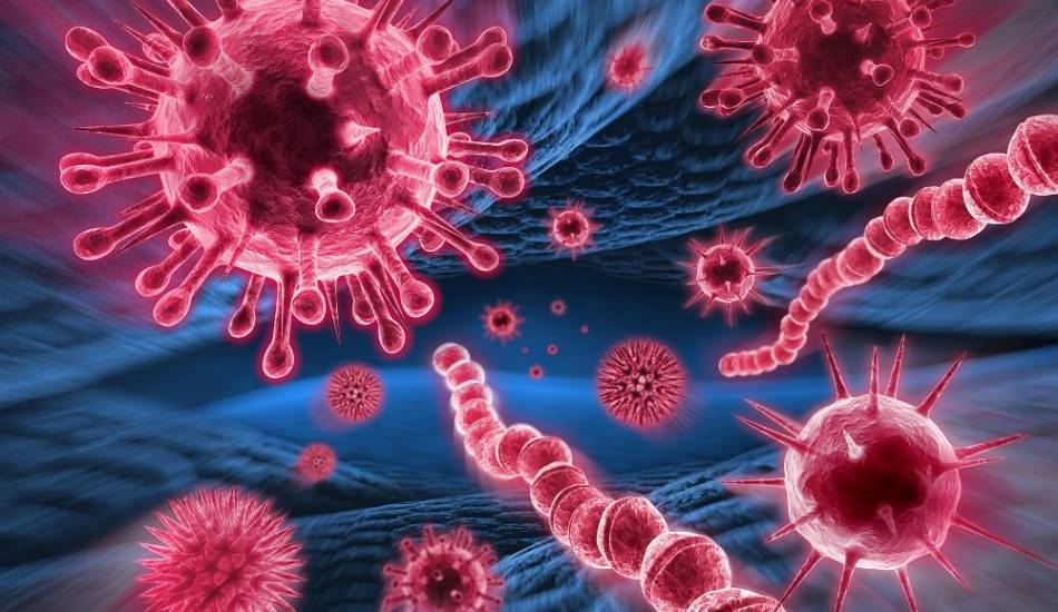Koronavirüs, SARS, MERS ve Ebola gibi salgın hastalıkların sayısı neden artıyor?