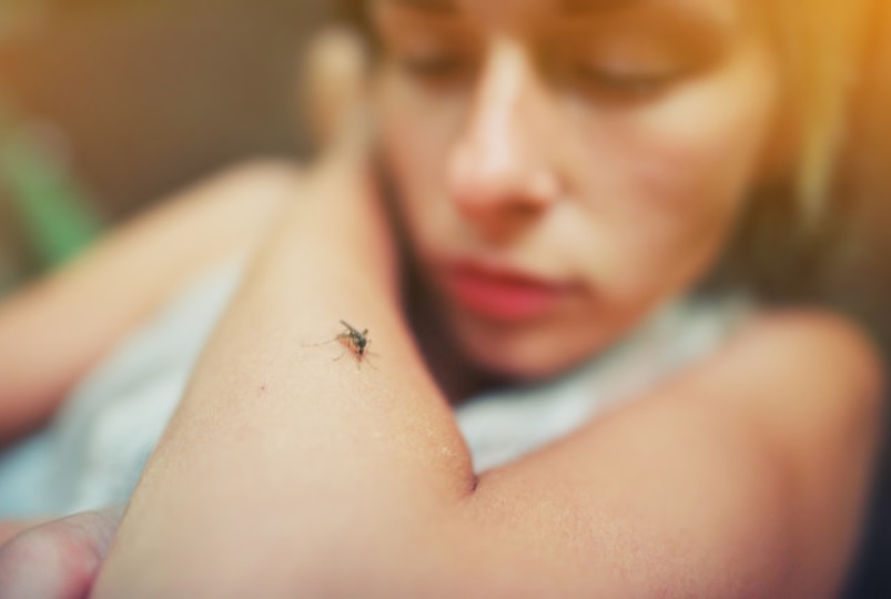 sivrisinek ısırığı