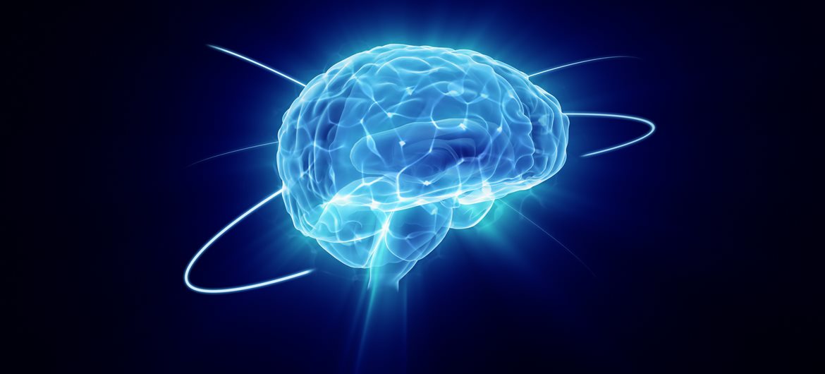 İnsan Beyni İle İlgili 10 İlginç Gerçek
