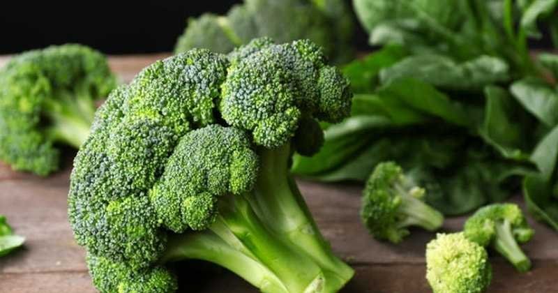 Brokoli Yararları