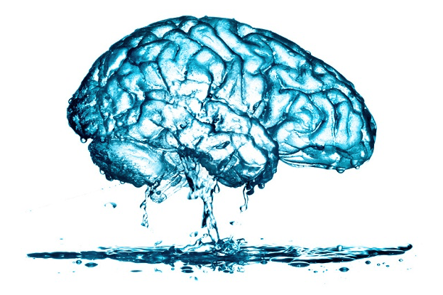 Leaky Brain Sendromu Nedir?