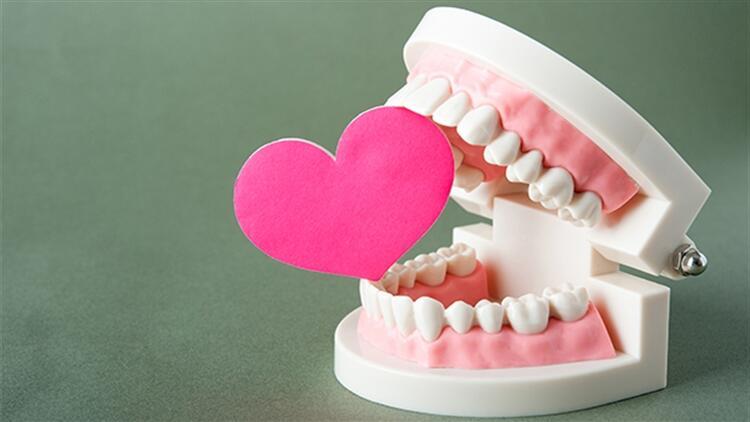 Günde üç kez diş fırçalamak kalp yetmezliğini önlüyor