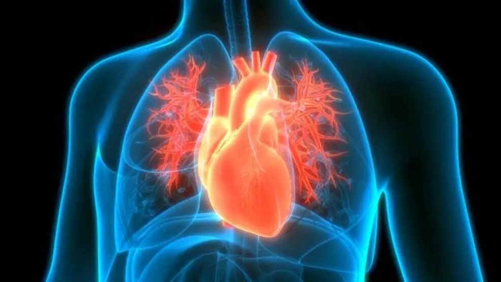 kalp kası iltihabı