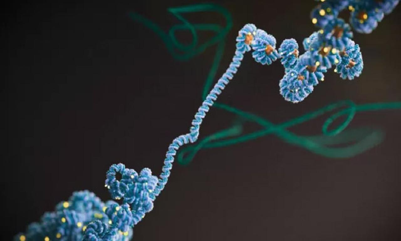 Epigenetik: Kanseri farkına varmak dahi iyileştirme erişmek için ‘yeni tek eşik aşıldı’