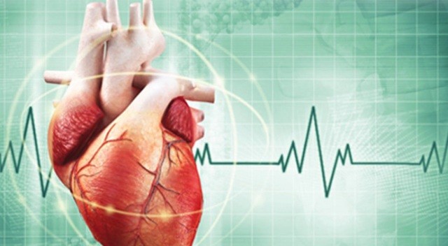 Kalp Kapağı Hastalıkları ve Tedavisi