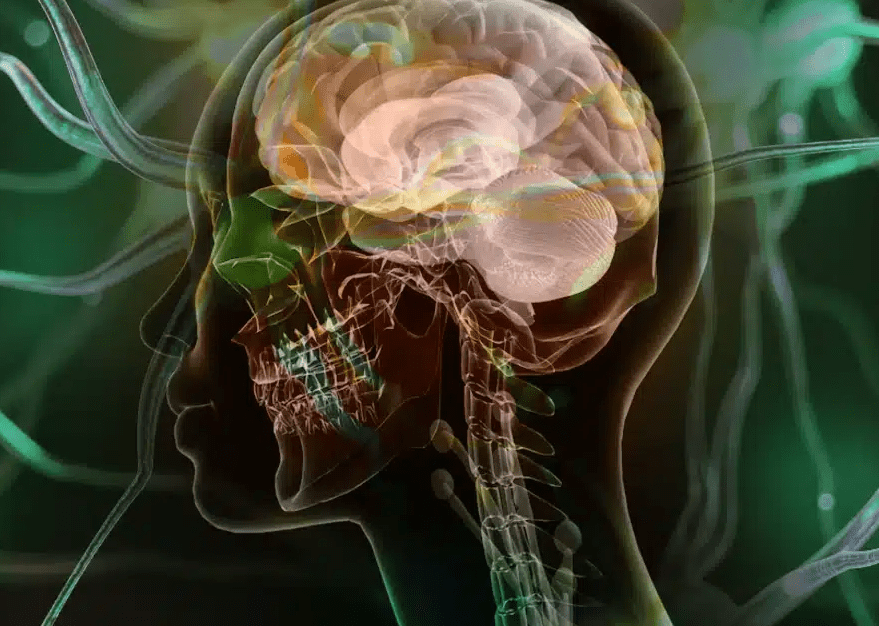 Kas seğirmesi neden olur? Magnezyum eksikliği, stres ve nörolojik hastalıklar